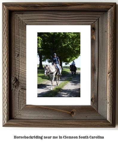 horseback riding near me in Clemson, South Carolina